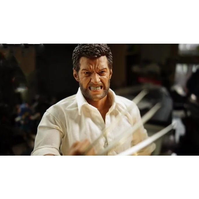 1/6 весы аксессуары для кукол Angry Wolverine пожилых logan 12 дюймов фигурки куклы не