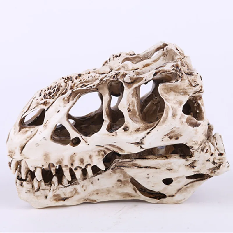 

Dinosaur Tooth Skull Fossil Teaching Skeleton Model Halloween Home Office Halloween Decoration Drop Shipping Resin Crafts
