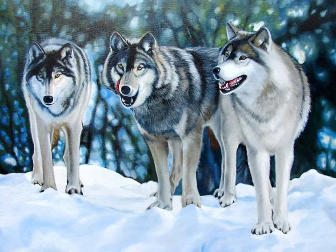 EverShine 5D алмазная картина Снежный волк картина Стразы DIY Алмазная Вышивка Полный дисплей животные ручной работы Настенный декор - Цвет: TS1685