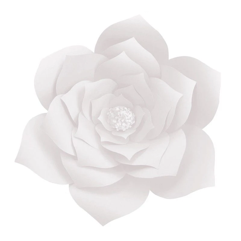 Mur De Roses Roses Geantes 30 Cm En Papier Fleurs Geantes 30 Cm Decor Bricolage Pour Fete De Mariage Fleurs Sechees Et 2 A Achat Vente Fleur Artificielle