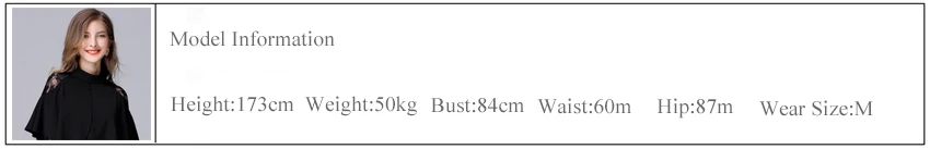 model size