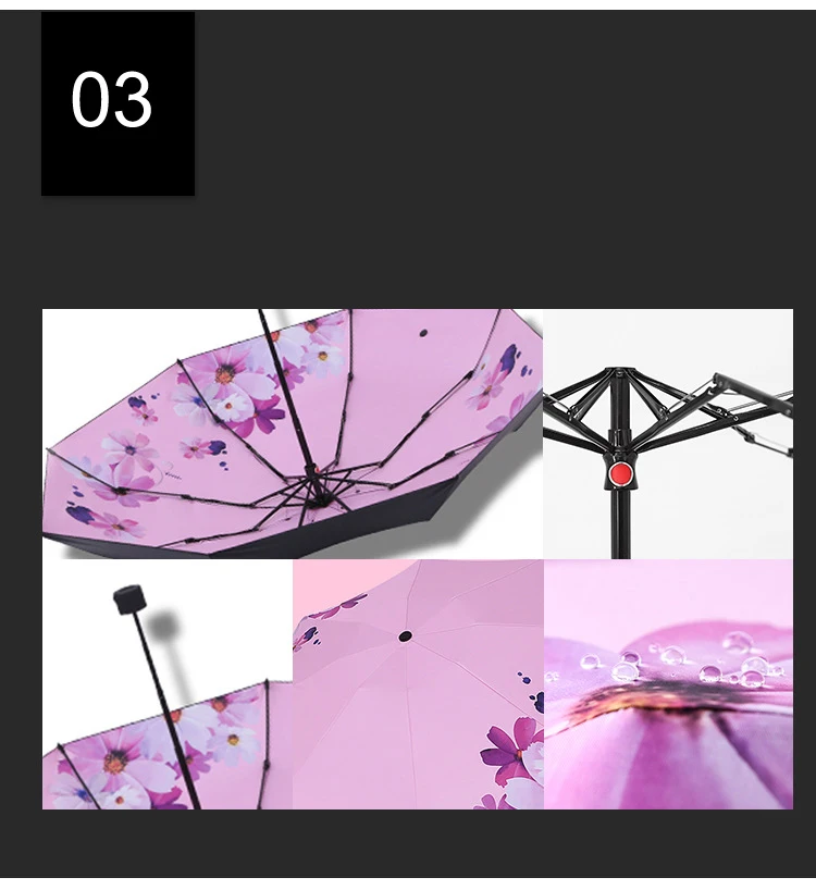 XX1