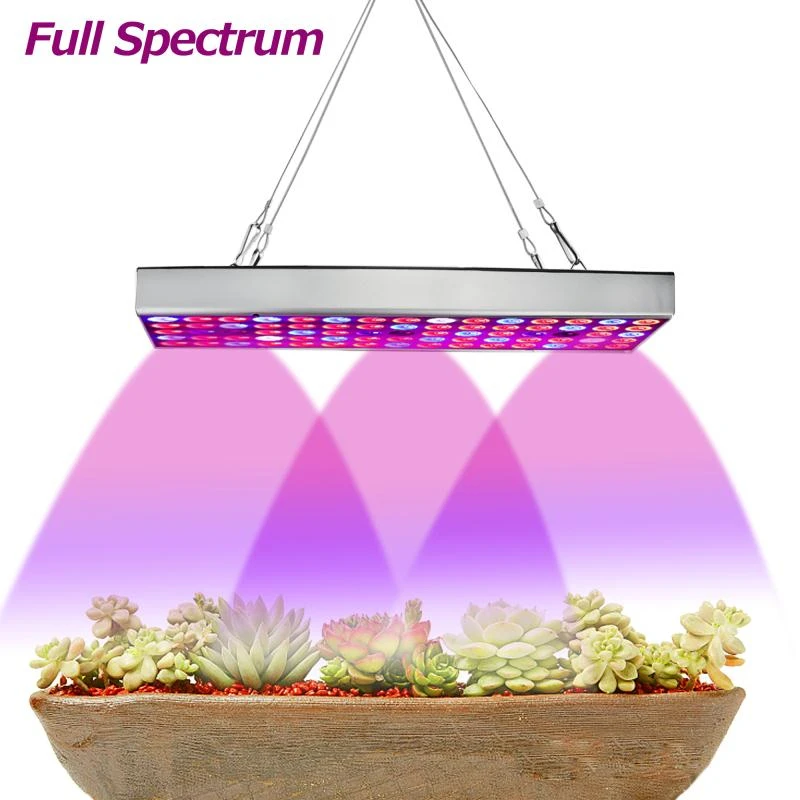  LED grow light 1000W 25W 50W Full Spectrum fitolampy for flowers Lettuce seeding Greenhouse grow te - 32997107701