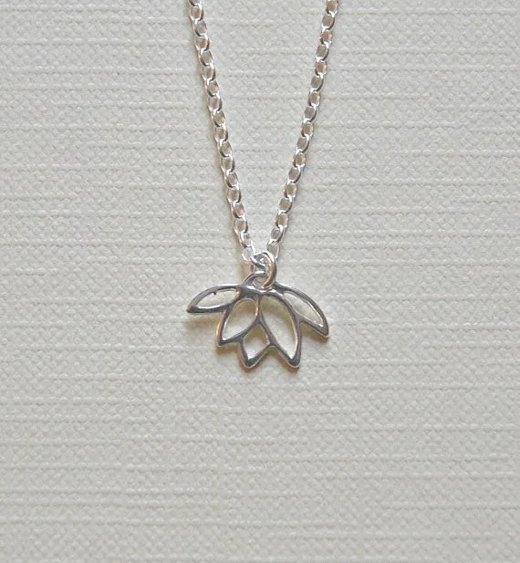 2163505669_1468280285