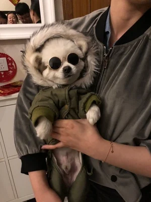 ReVarious pet очки «кошачий глаз» солнцезащитные очки ретро крутой Кот смешной реквизит для фотографий кошек и персонализированных видео щенков универсальные удобные дышащие