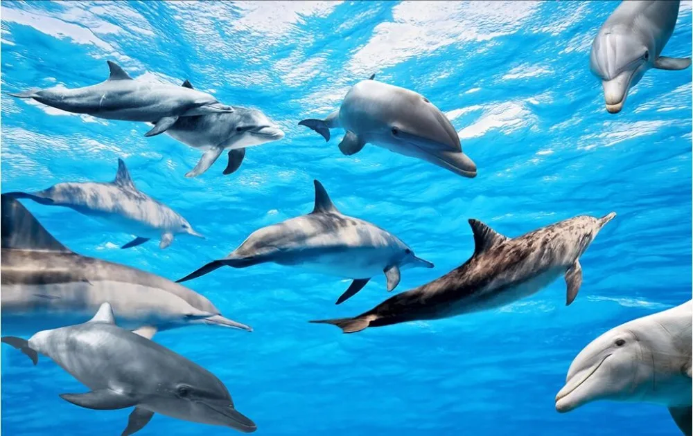 Beibehang пользовательские фото пол живопись обои земля липкий Бог подводная лодка мир Дельфин 3D ванная комната гостиная пол Painti