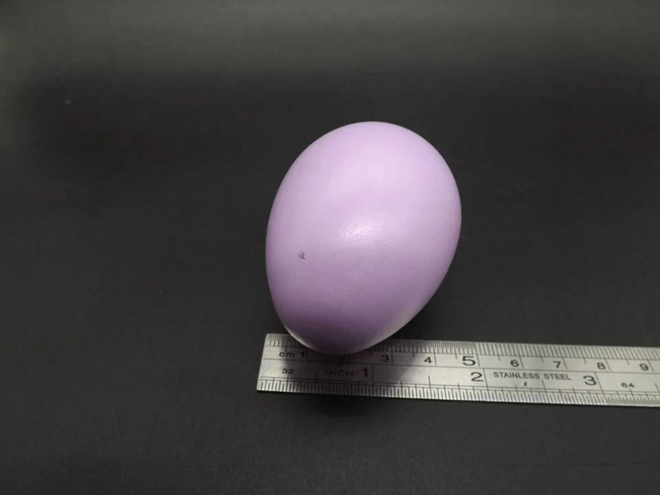 I433-Egg (11)