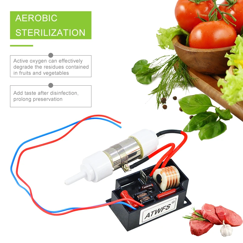 ATWFS очиститель воздуха озоновый генератор 110 В 500 мг озонатор воды