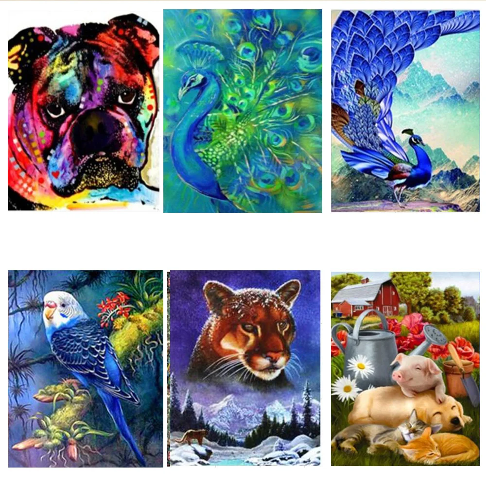 labrador peacock parrot pig seal