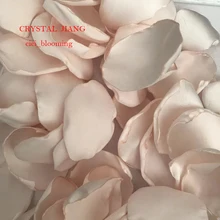 Атласные лепестки для свадебный цветок девушка Лепестки розы 100 шт./лот реальное изображение красивый