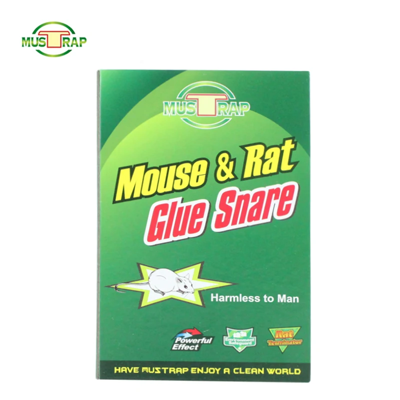 (High) 저 (Quality Sticky 마우스 종이 붙 to Catch Trap Mice 비 독성 접착 Board 강력한