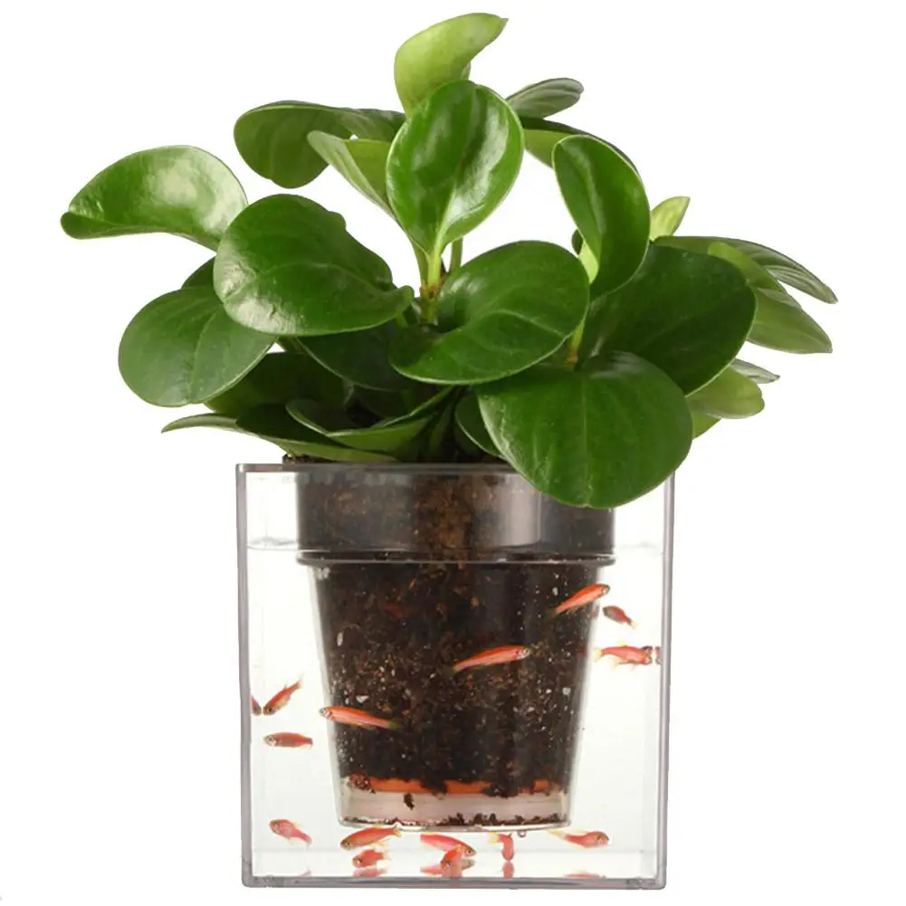 Acquista all'ingrosso online pot planter da grossisti pot planter ...