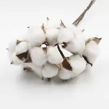 2 шт. 6 см натуральный деревенский искусственный Сушеный Цветок хлопок Боб один стебель сельский дом Свадебные украшения