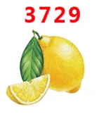 3729 30 шт мультфильм персонаж плоское украшение из смолы PR 3699 - Цвет: 3729