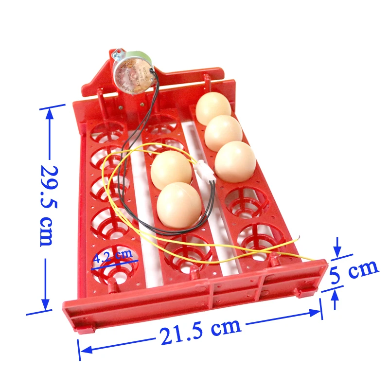 15 Eggs Incubator Egg Tray Automatic Incubator Egg Tray Automatically Turn The Eggs 3 * 5 Holes Poultry Incubation Equipment 15 Eggs Incubator Egg Tray Automatic Incubator Egg Tray Automatically Turn The Eggs 3 * 5 Holes Poultry Incubation Equipment