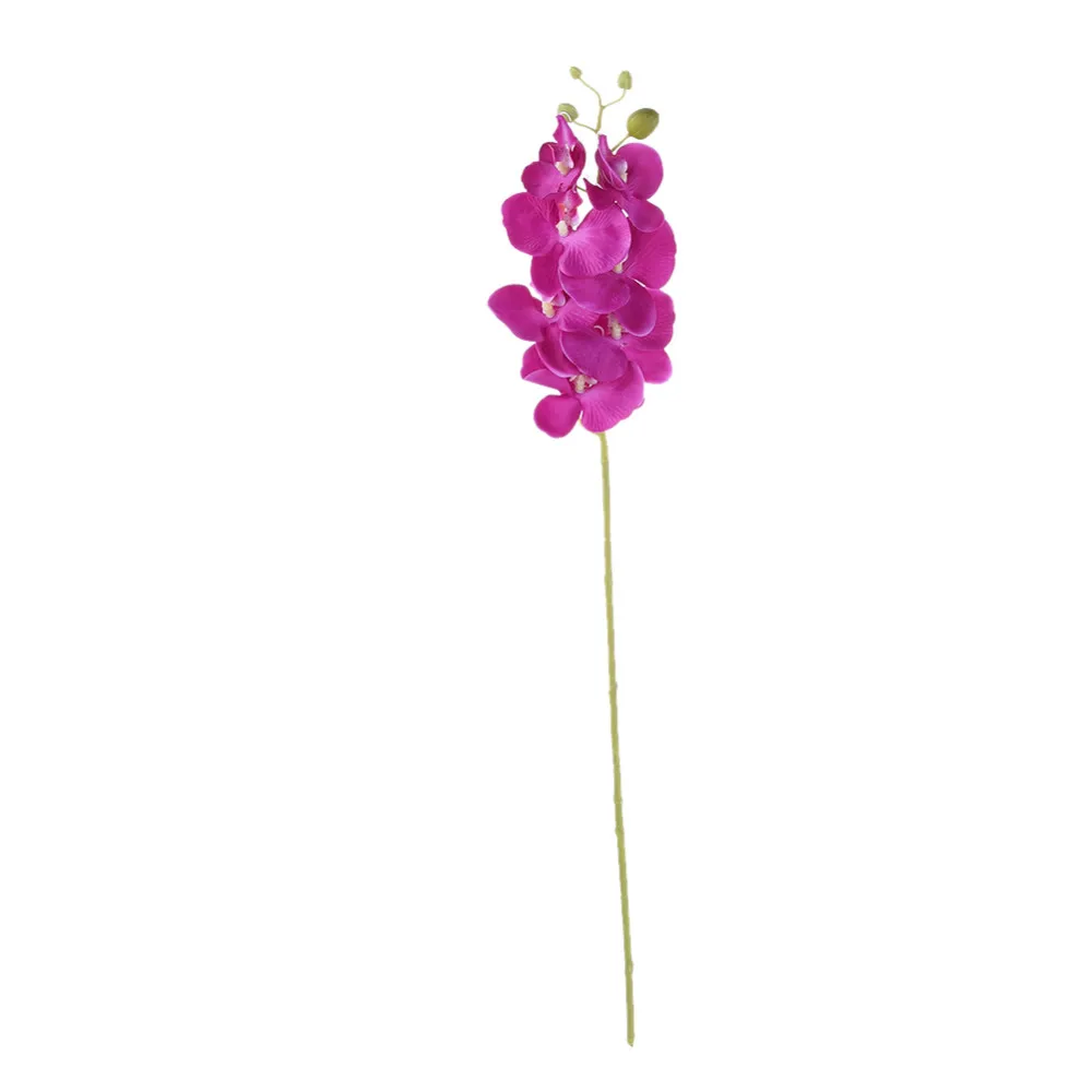 ZS313DarkPurple (1)
