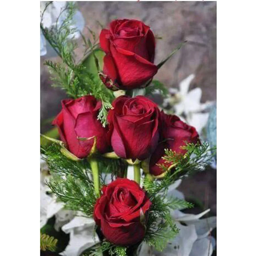 

DIY diamond painting Flowers 5D Diamond embroidery pictures diamond cross stitch Square diamond painting Flowers red roses ZY715