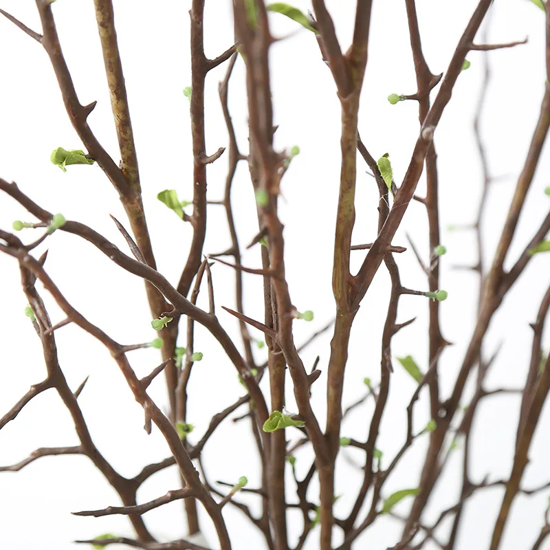 Sprouting ветви стебли и небольшие горшечные зеленые растения имитируют цветы, малый в горшке Пейзаж мебель для гостиной украшения