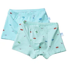2pcs/Set Soft Print Cotton Boys Boxers Cartoon Car Letter Bear Kids Underwear Boys Panties Briefs Kids Cotton Shorts Underpants 2pcs/Set Soft Print Cotton Boys Boxers Cartoon Car Letter Bear Kids Underwear Boys Panties Briefs Kids Cotton Shorts Underpants