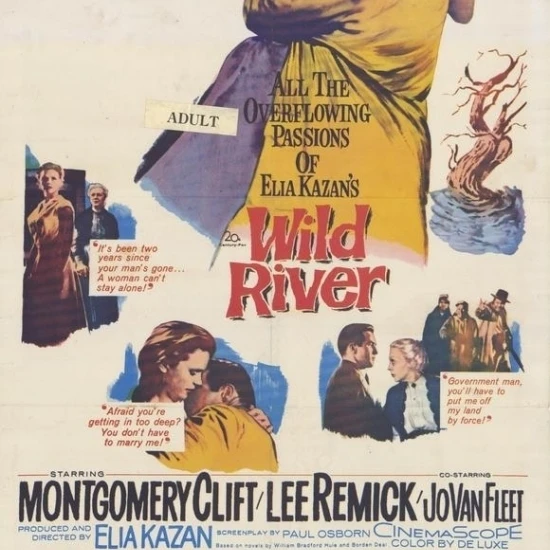 Wild River Movie Poster (11 x 17)