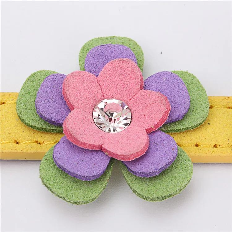 dog collars (5)