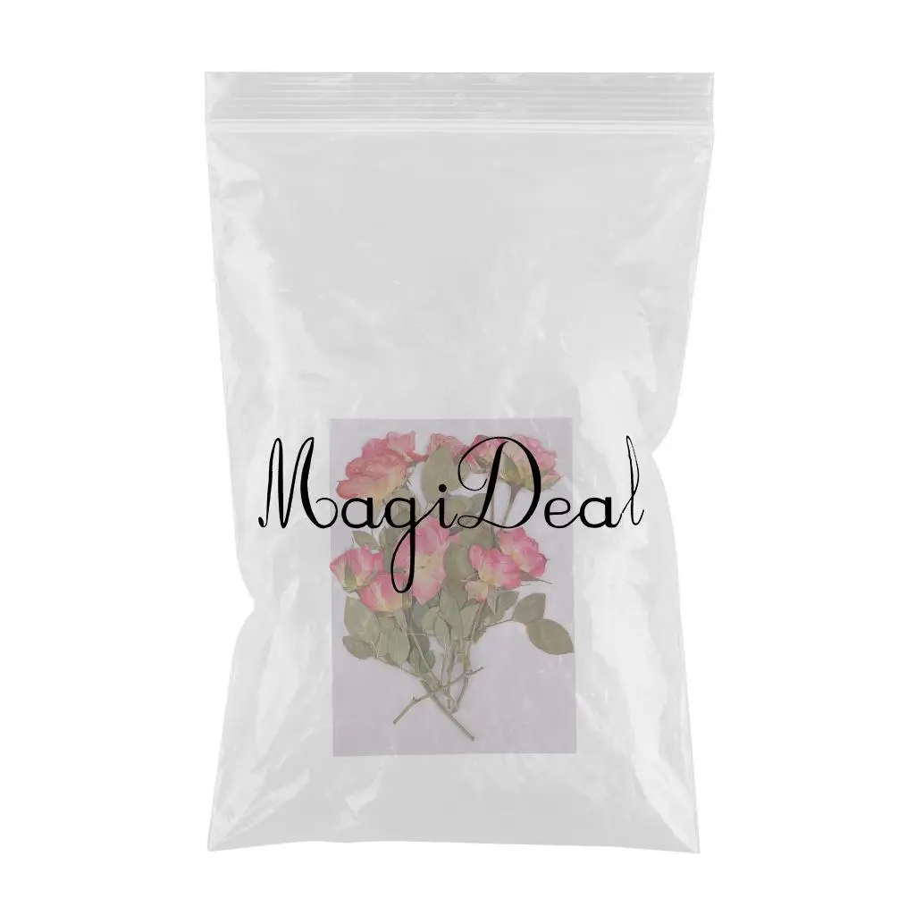 10x Pressed Dried Rose Flowers DIY Phone Case Bookmark Resin Jewelry for Art Paper Making Gift Packaging Materials Craft