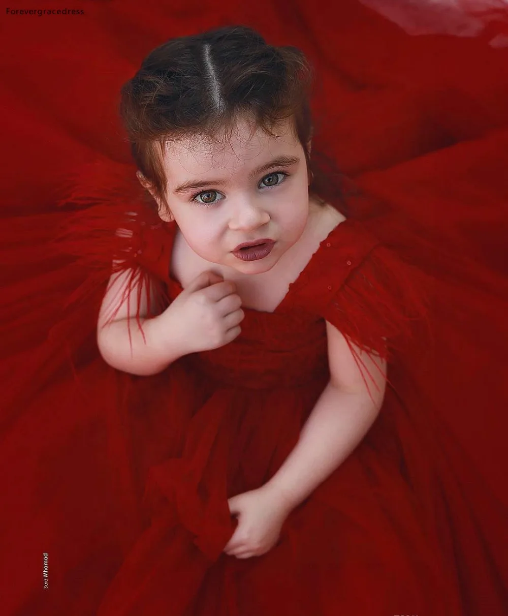 Dark Red Cute Tassel Flower Girl Dresses Princess Ball Gown Toddler Kids Birthday Party Dress Formal Pageant Wear BC0290  92 (1)