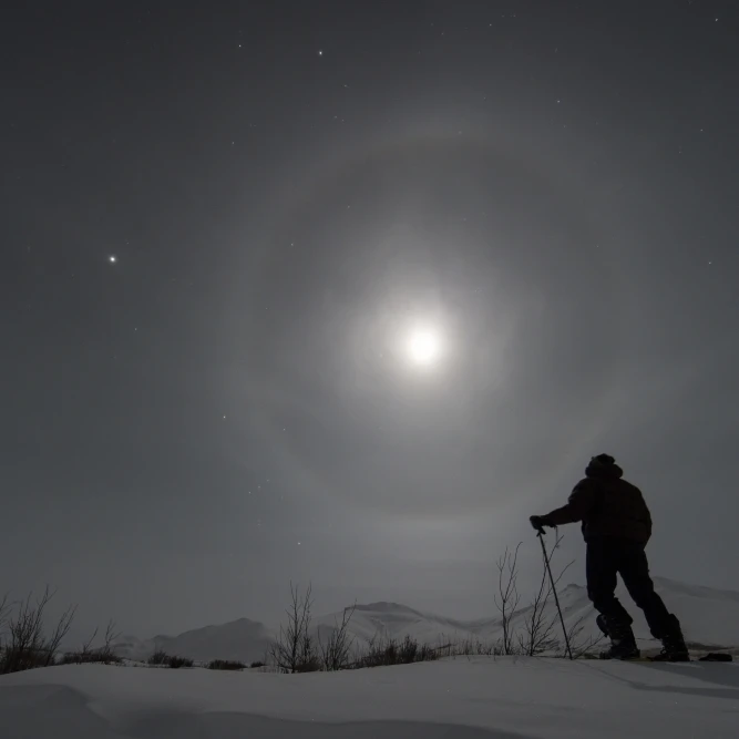 Man snowshoeing along the Dempster Highway under a moon glowing with rings; Yukon  Canada Poster Print (24 x 38)
