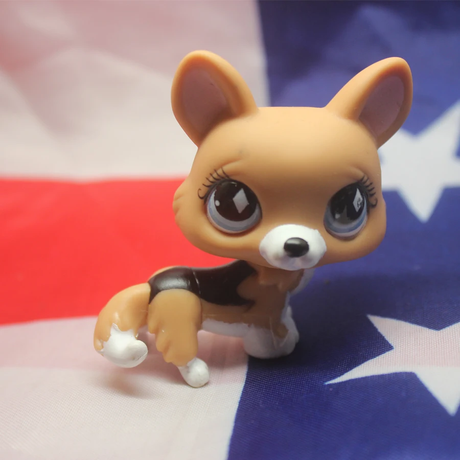 lps corgi 639