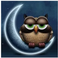 5d lightpad алмазов картина пользовательские сова moon рождественские открытки полный квадратный kerstkaarten эйген фото рождественские украшения для дома