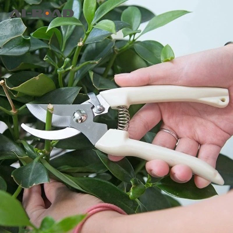 

Garden Bonsai Tools Chopper Scissors Hand Tool Graft Pruner Shears Cutter For Paramedic Gardening Pruning Grass Flower Secator