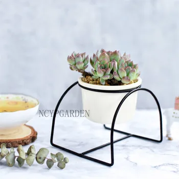 

Gardening Home Decor White Circular Ceramic Planter for Succulent Arched Iron Rack Holder Desktop Flower Pot Modern Style(1pcs)