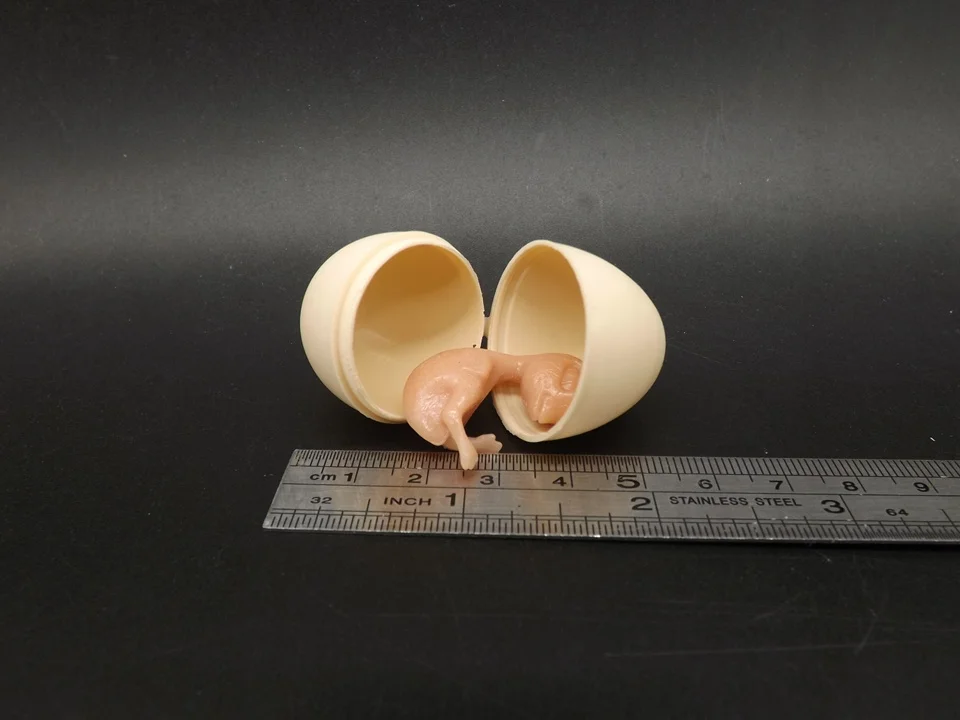 J222 (9)