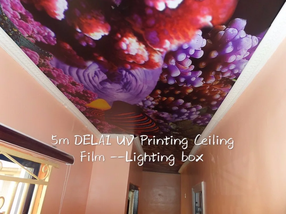 Us 13 26 49 Off Uv Undersea Printing Ceiling Film In The Office Pvc Stretch Ceilings In A Construction Materials And Ceiling Materials In Wallpapers