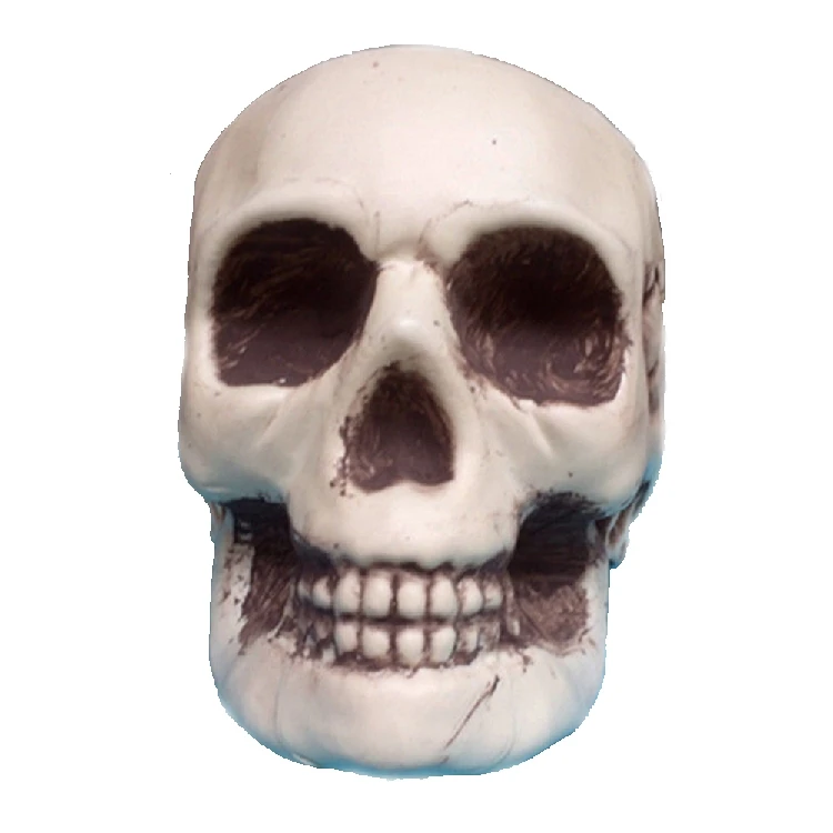 halloween skeleton decoration prop skeleton head plastic skeleton head statue prop halloween party ornament decor accessories - Halloween Skeleton Head halloween skeleton decoration prop skeleton head plastic skeleton head statue prop halloween party ornament decor accessories - Halloween Skeleton Head