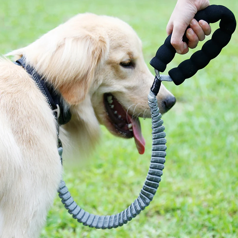 Dog Training Leashes Tactical Buffer Bungee Dog Leash Elastic Leads