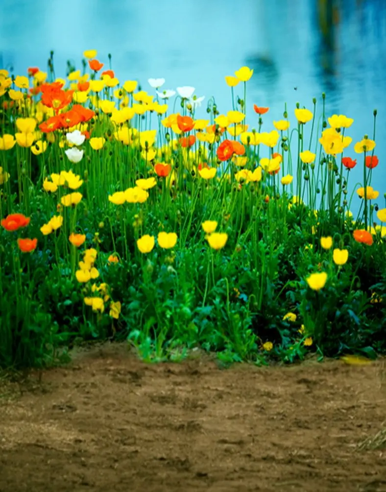 

Landscape Flowers Photography Backdrops Photo Props Studio Background 5x7ft