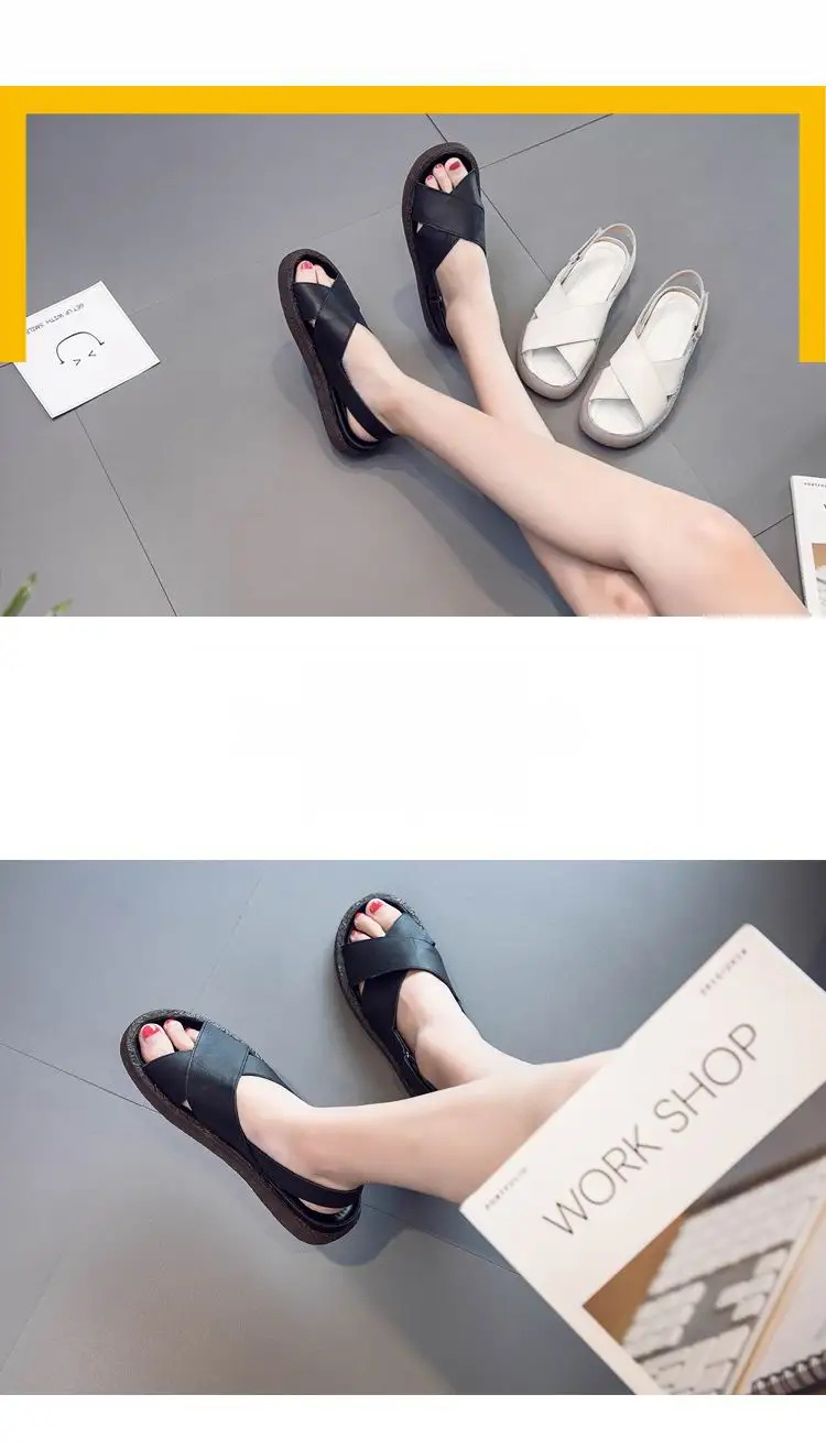 6 -  -  -  -  -  (2) - 