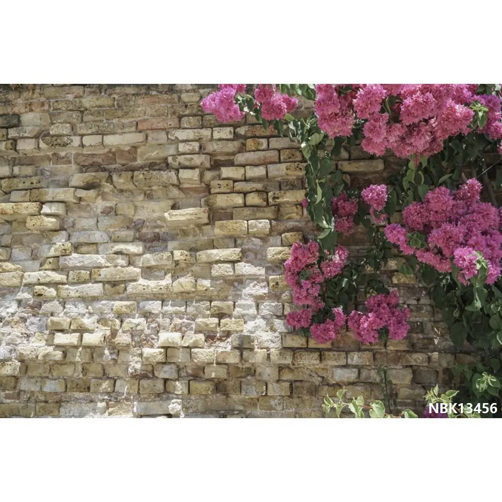 Laeacco красивые цветы каменная стена портрет гранж фотографии фоны индивидуальные фотографические фоны для фотостудии - Цвет: Сиренево-синего цвета