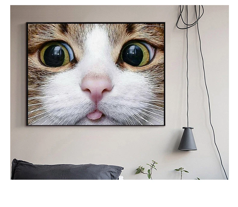 HTB1QlYqcQfb_uJkHrdq6x2IVXaK