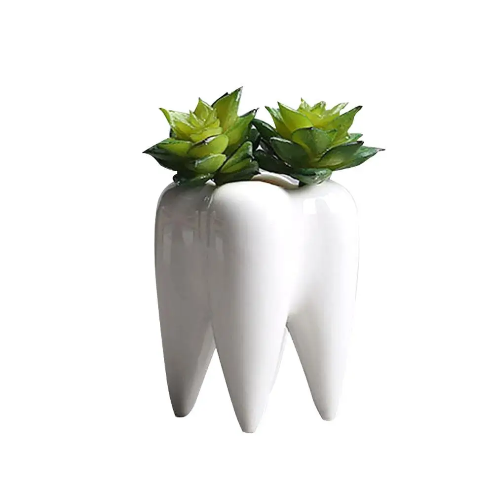 

White Tooth Shape Flower Pot Succulent Fleshy Plant Flowerpot Ceramic Small Mini Home Garden Office Decoration Green Plant Basin