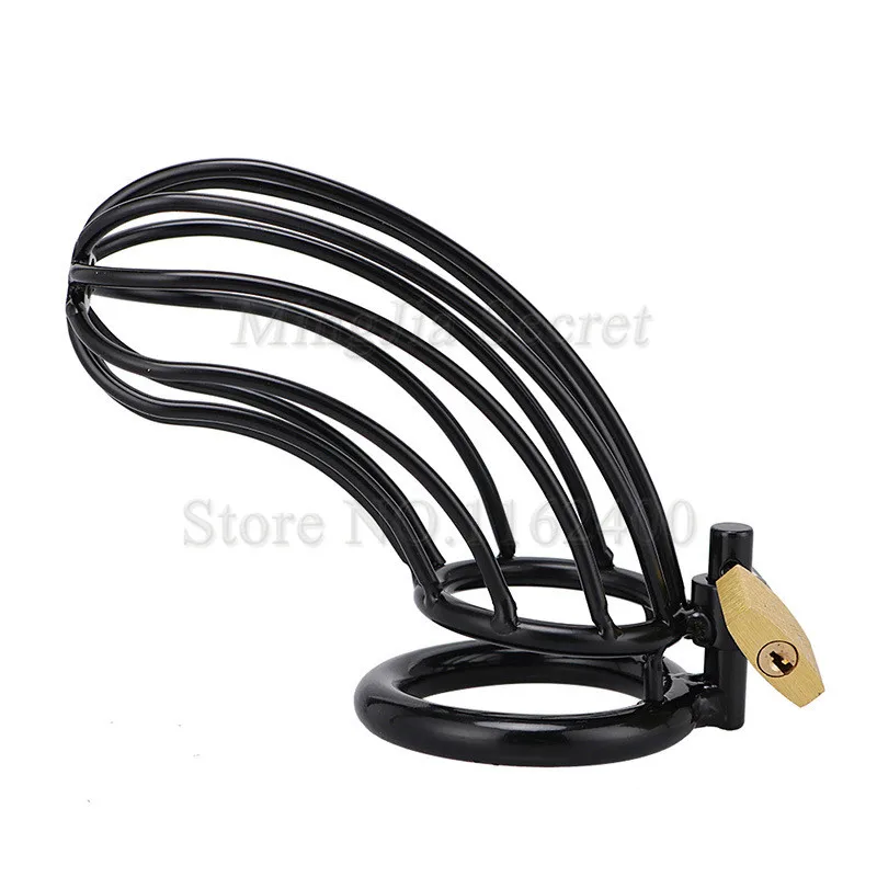 4947817641_1728770533