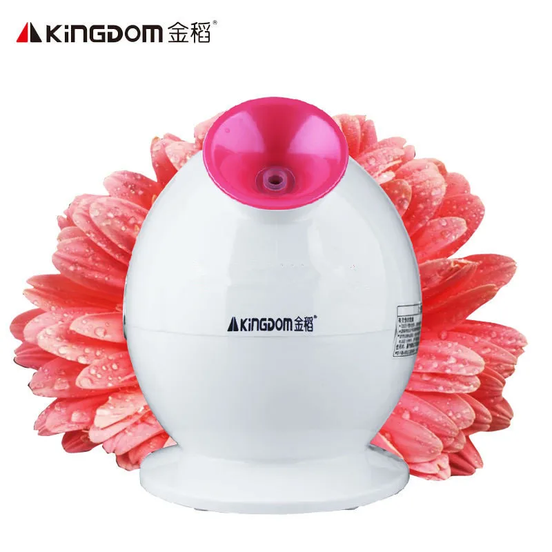 220V Face Humidifiers Steaming Face Machine Household Nano Thermal