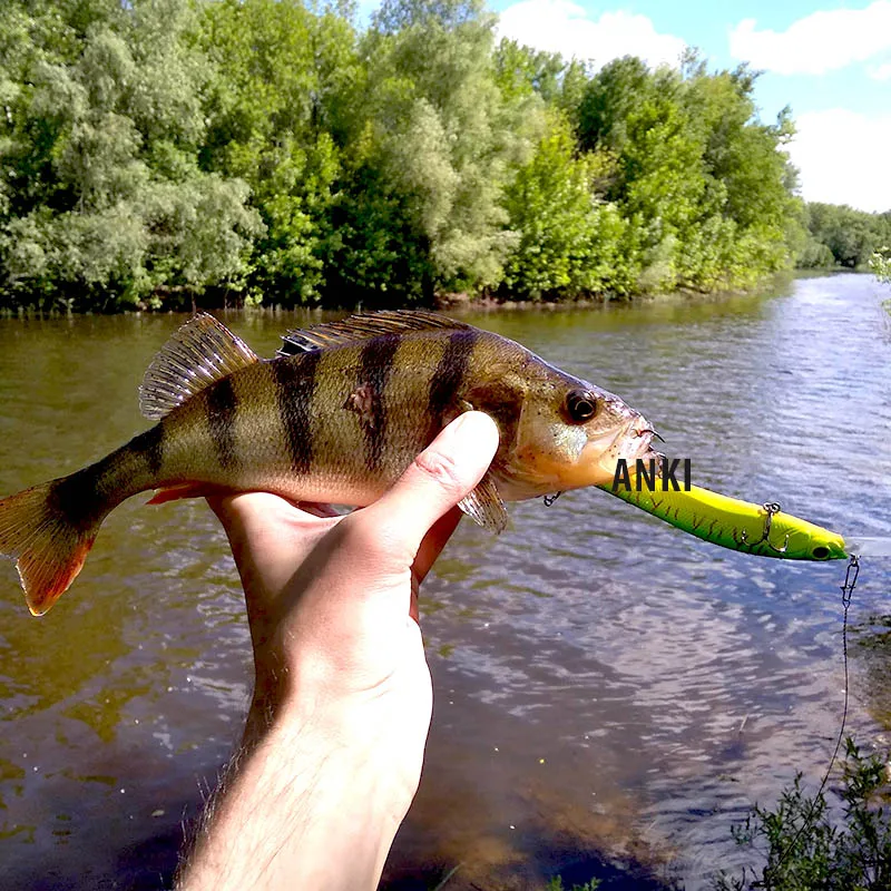 fish1