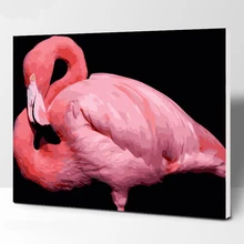 ЖАР ПТИЦА номер картина маслом картины для уркашения стен для Гостиная Холст животных Цифровая и рисунки без рамки