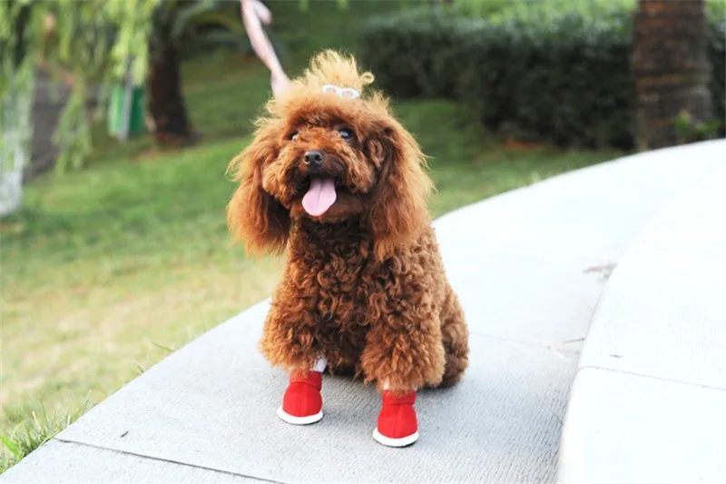 Зимняя обувь из хлопка для собак, обувь из замши+ хлопка+ бархата, утолщенная обувь для домашних животных, красная плюшевая обувь, размер 5 ярдов на выбор