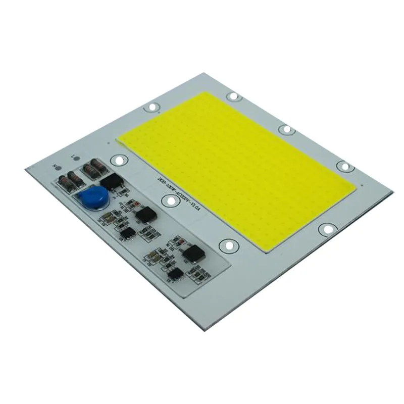 100W DOB 220V 1_