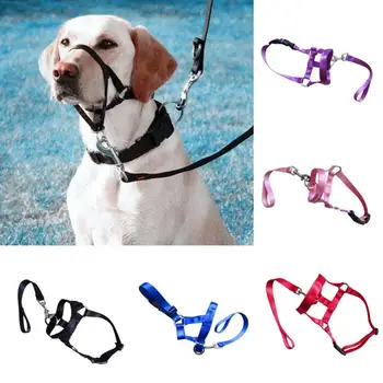 

Nylon Dogs Head Collar Dog Training Halter Blue Red Black Colors S M L XL XXL Sizes