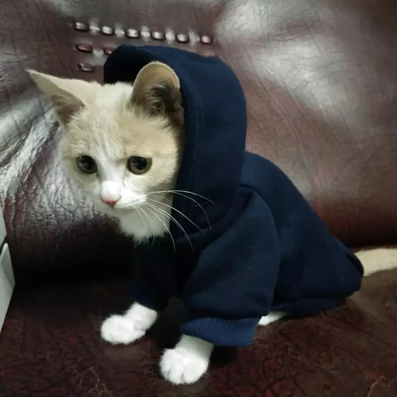 Pet Cat Hoodie Sweaters Winter Warm Cat Clothes for Small Cats Kitten Coat Jacket Cat Costumes