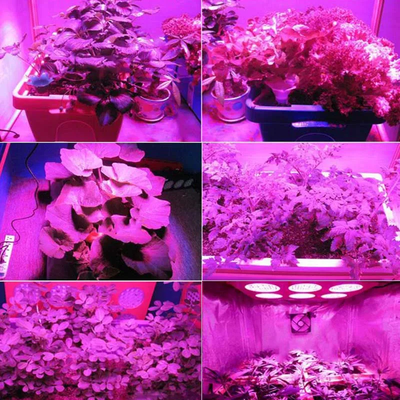 0404 T5 T8 Grow Light Led Bulb Integrated T5 Tube lights lamps  for plants14 (1)
